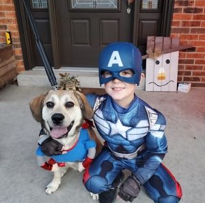 Meet your Posher, Brandon